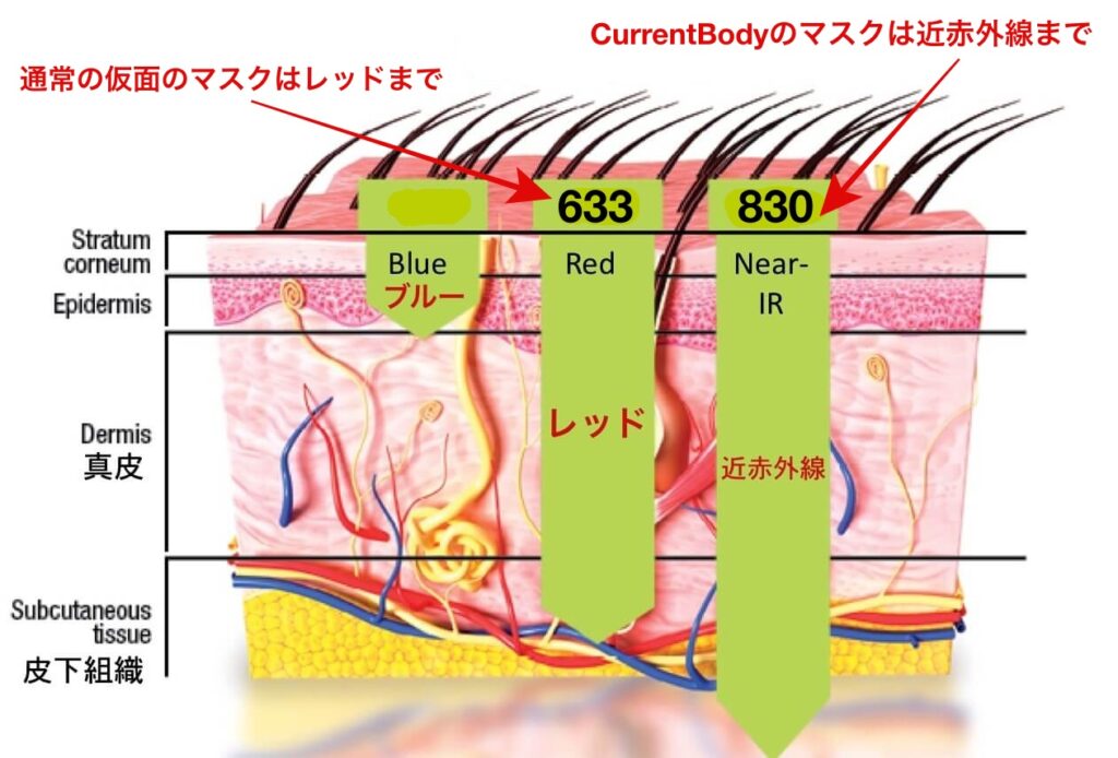 肌のハリ シワ 自宅でledマスクを使うならcurrent Body がおすすめな理由